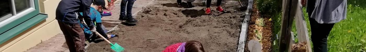 © c, Waltraud Stangl, privat Im Schulgarten entsteht eine Blumenwiese