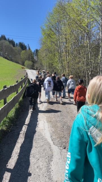 Müll sammeln