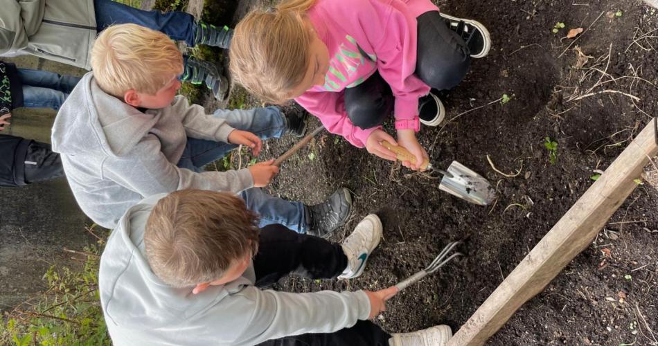 Blumenzwiebel-Pflanzaktion