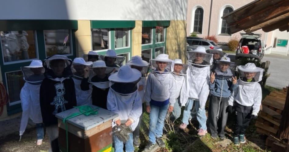 Bienen