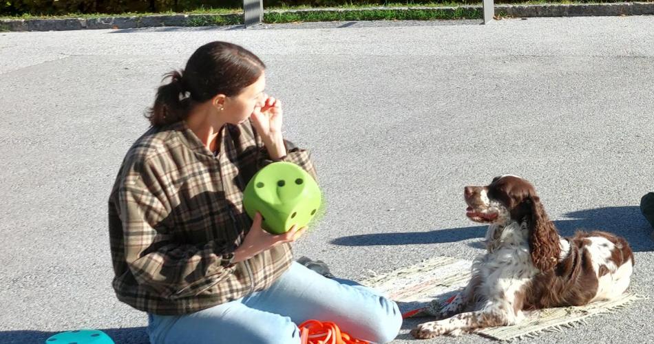 Hundebesuch