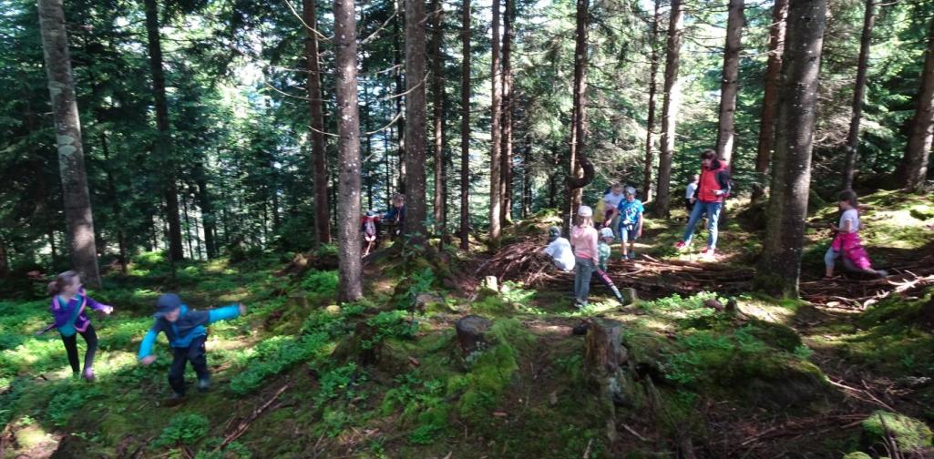 Waldtag in Thierbach