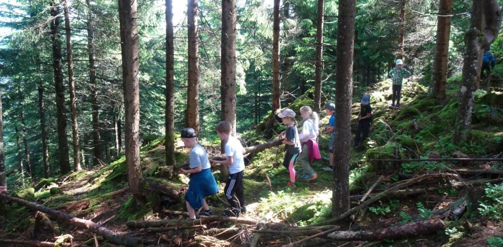 Waldtag in Thierbach