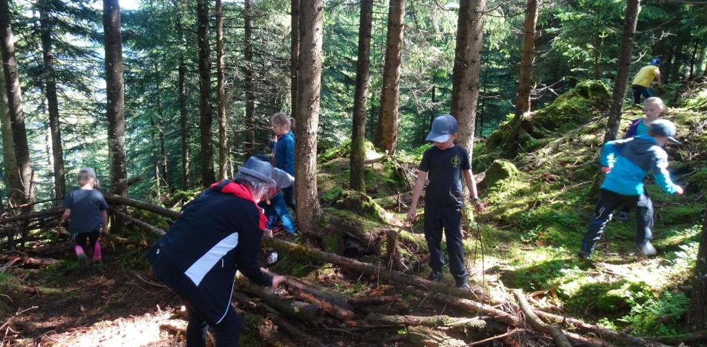 Waldtag in Thierbach