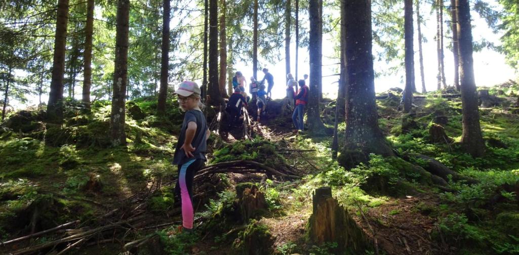 Waldtag in Thierbach