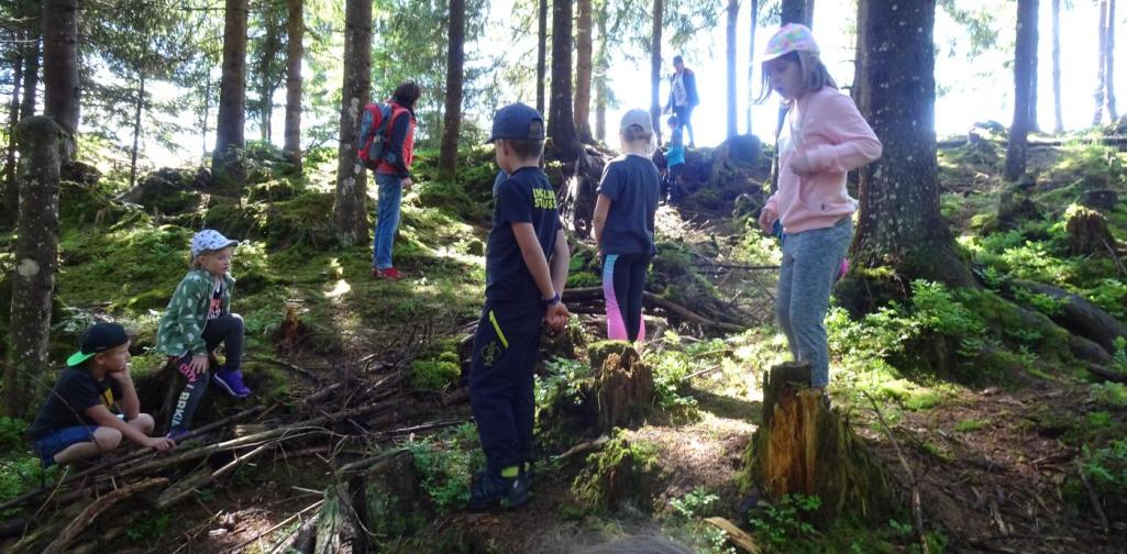 Waldtag in Thierbach