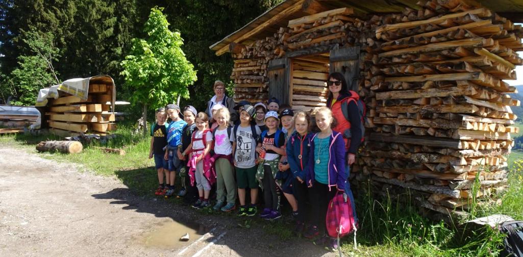 Waldtag in Thierbach